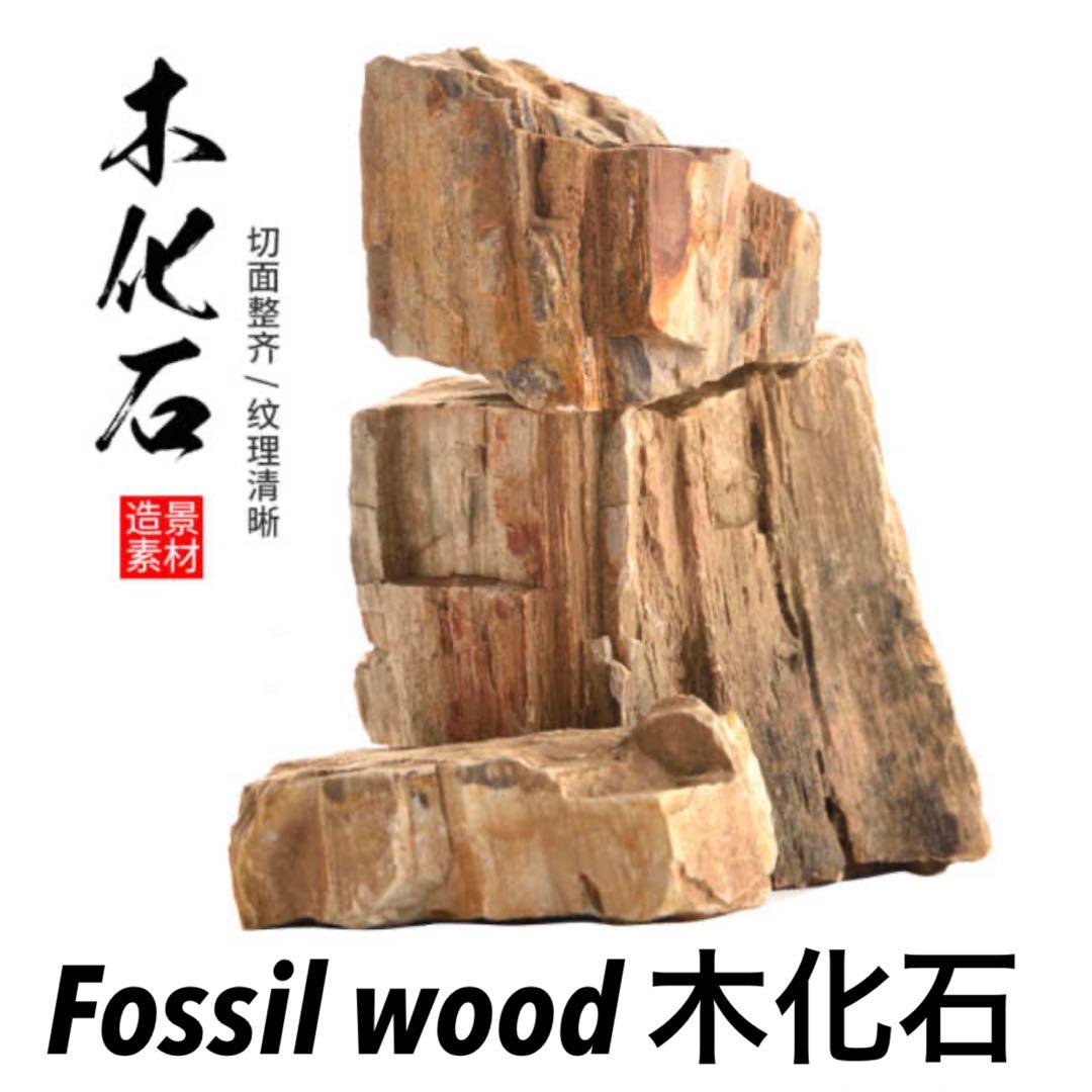 Fossil Wood 木化石 1kg 4 Aquarium Stone Rock Aquatic Plant Furniture Home Living Gardening Plants Seeds On Carousell