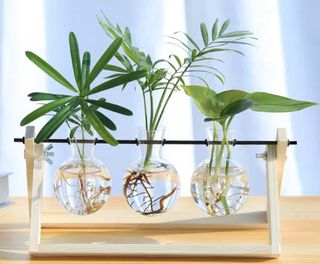 (Category: ) located in . Submitted by secret.gardens (Listing ID 1010046359, Image 1). Description: .
