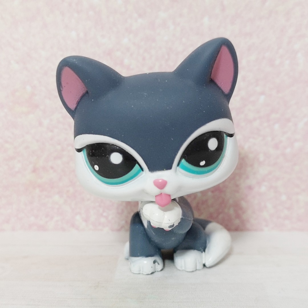 Littlest Pet Shop lps blue grey paw up cat Hobbies Toys Toys