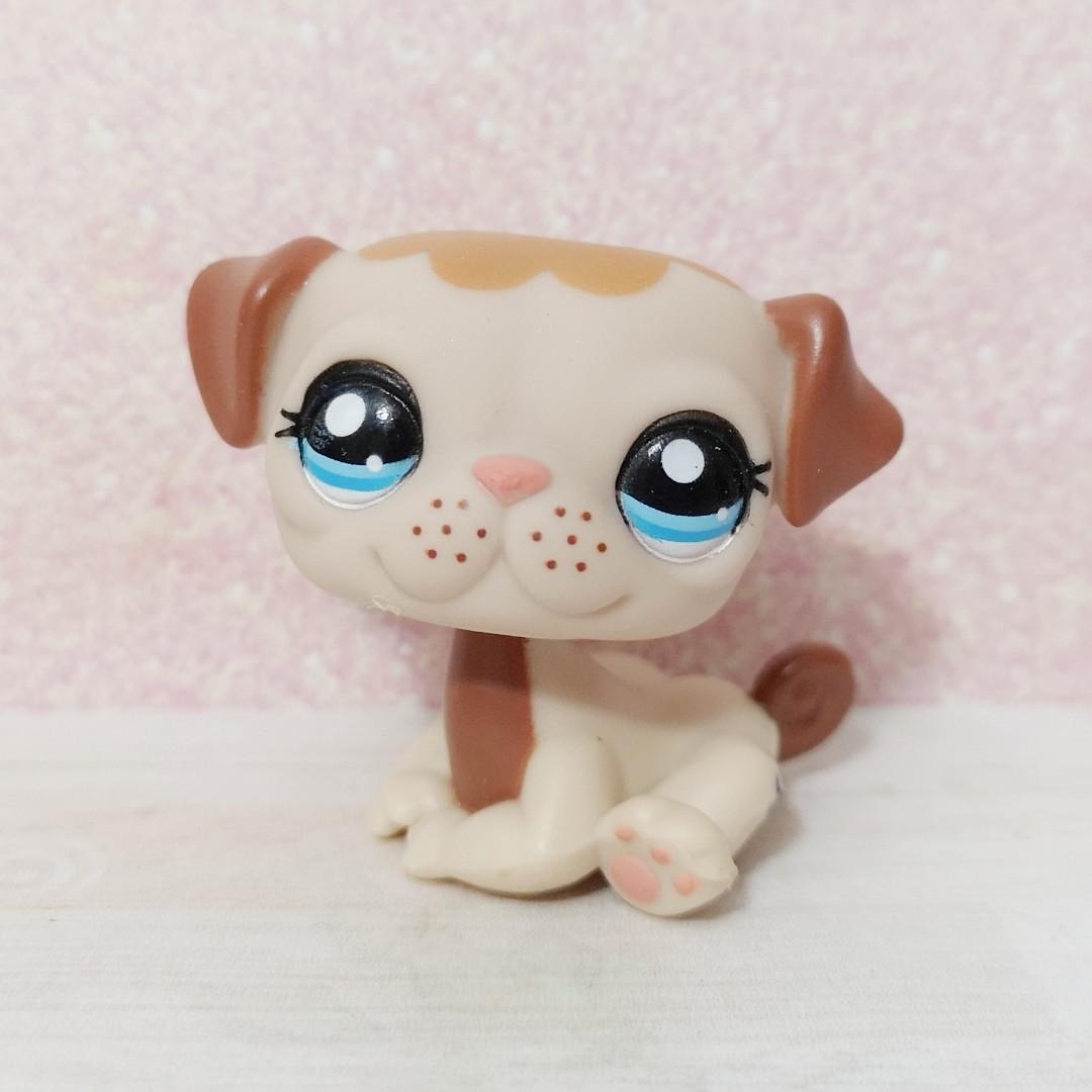 lps pug