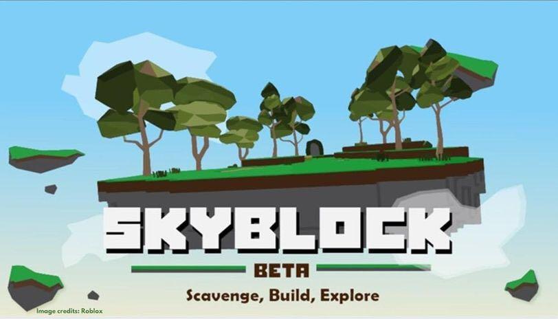 Skyblock Starter Pack Toys Games Video Gaming In Game Products On Carousell - roblox skyblock coins toys games video gaming in game products on carousell