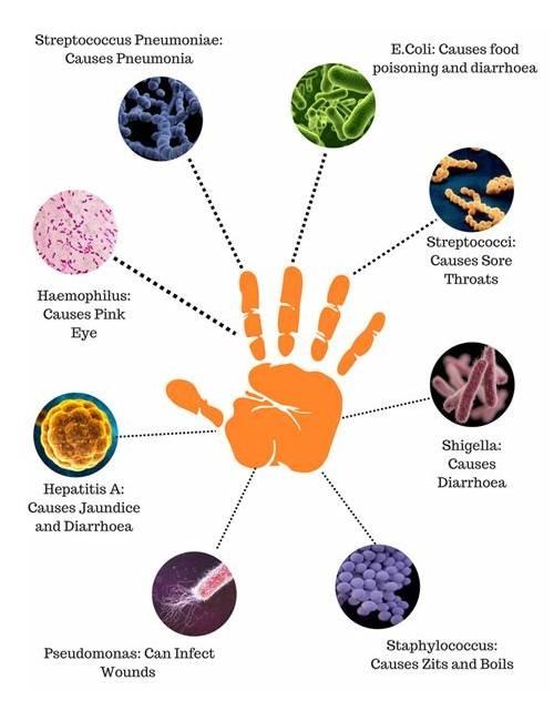 SwiPe It Hand Sanitizer 500ml Prevention Illness Bacteria Virus Wash ...