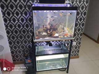 (Category: ) located in . Submitted by ajik (Listing ID 1004418548, Image 1). Description: .