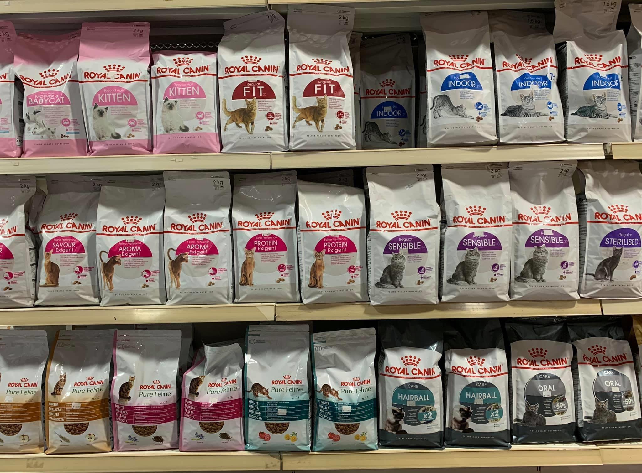 2kg Cat Food Royal Canin Cat Kitten Fast Delivery Price Tag Are On The Pictures Please Zoom Into It Pet Supplies For Cats Cat Food On Carousell