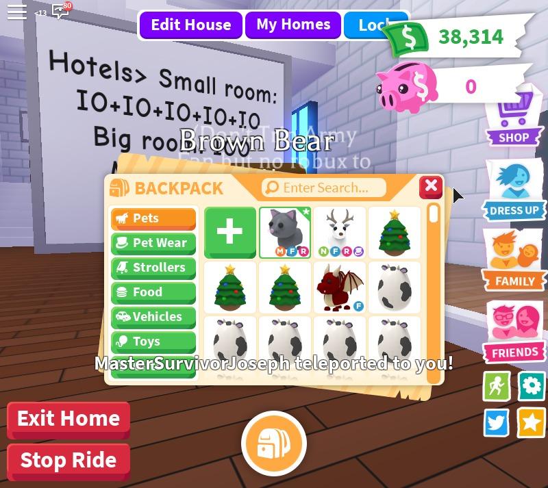 Adopt Me Toys Games Video Gaming Others On Carousell