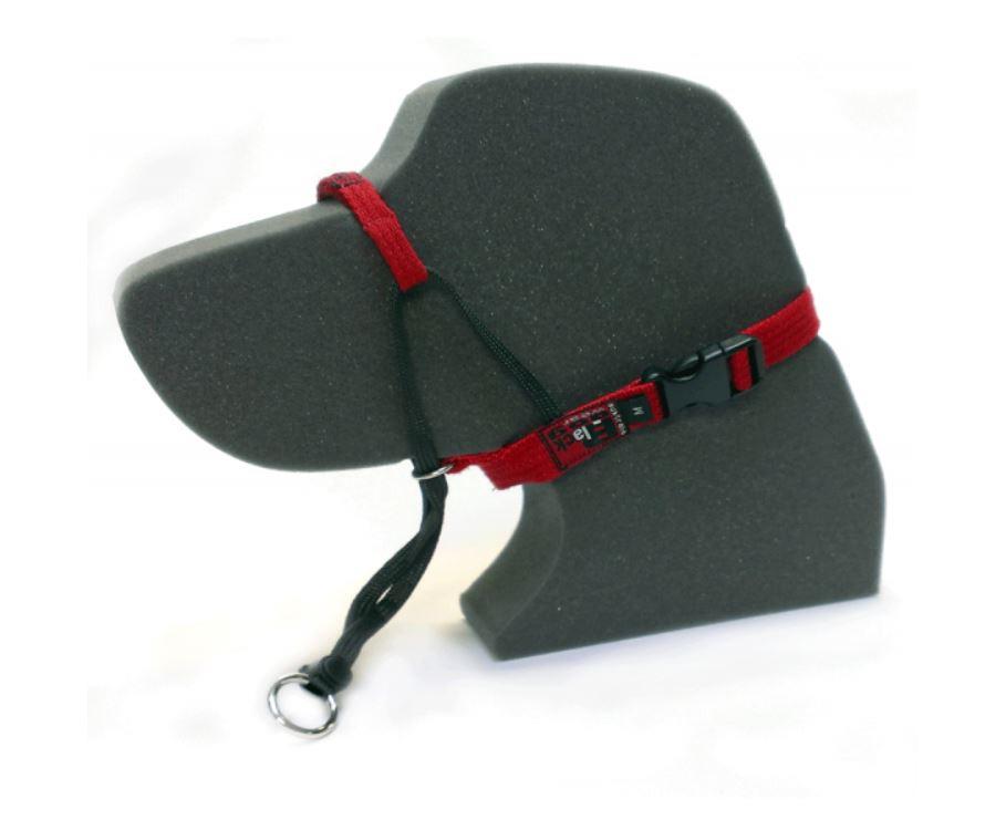 Black Dog Wear Training Halter - Red