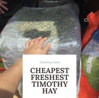 [CHEAPEST] USA Timothy Hay 50KG BALE