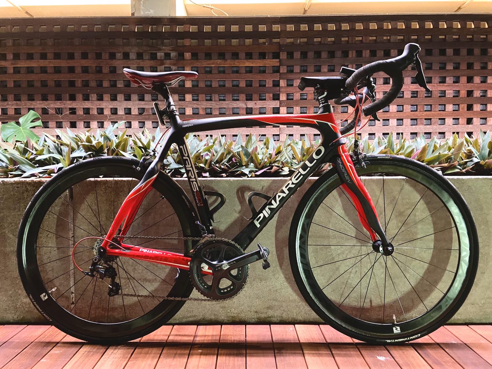 pinarello paris 50.1