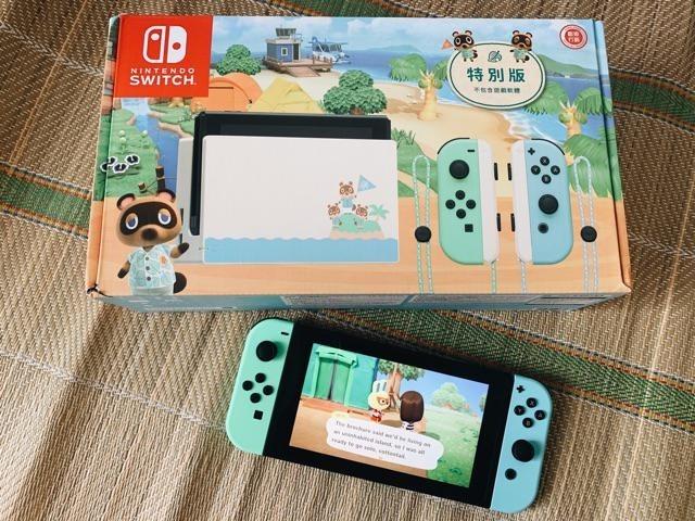 nintendo switch animal crossing edition game included