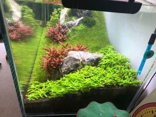(Category: ) located in . Submitted by scott.gilmour (Listing ID 1004329746, Image 1). Description: .