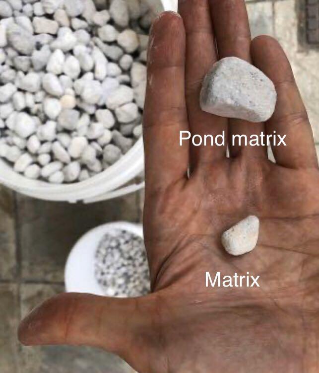 Seachem pond matrix on sale