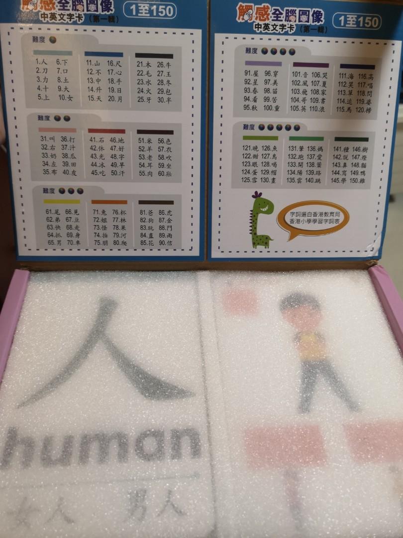 觸感全腦圖像中英字卡 書本 文具 小朋友書 Carousell