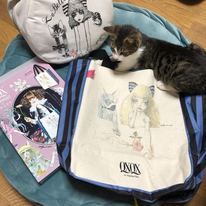 🌞 特價全新宇野亞喜良手繪插畫QXQX クスクス少女與貓與夢特大