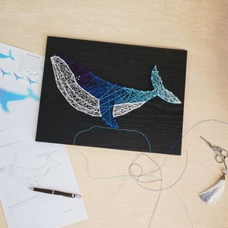 （分類：）位於 。 由 thetinythings.store 提交（商品編號 1004471040，圖片 1）。簡介： 。