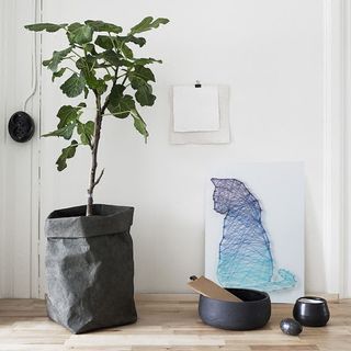 （分類：）位於 。 由 thetinythings.store 提交（商品編號 1004471443，圖片 1）。簡介： 。