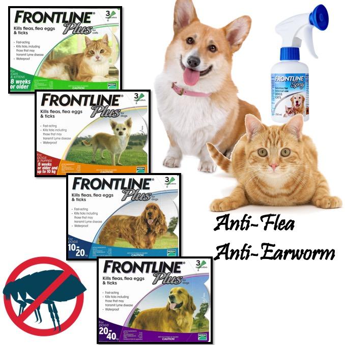 Frontline Plus Anti Flea Anti Ear Mite Cats Dogs Puppy Kitten Vet