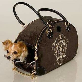 Juicy couture pet carrier best sale