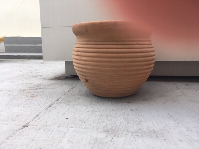 smal terracotta pot, Furniture & Home Living, Gardening, Pots ...