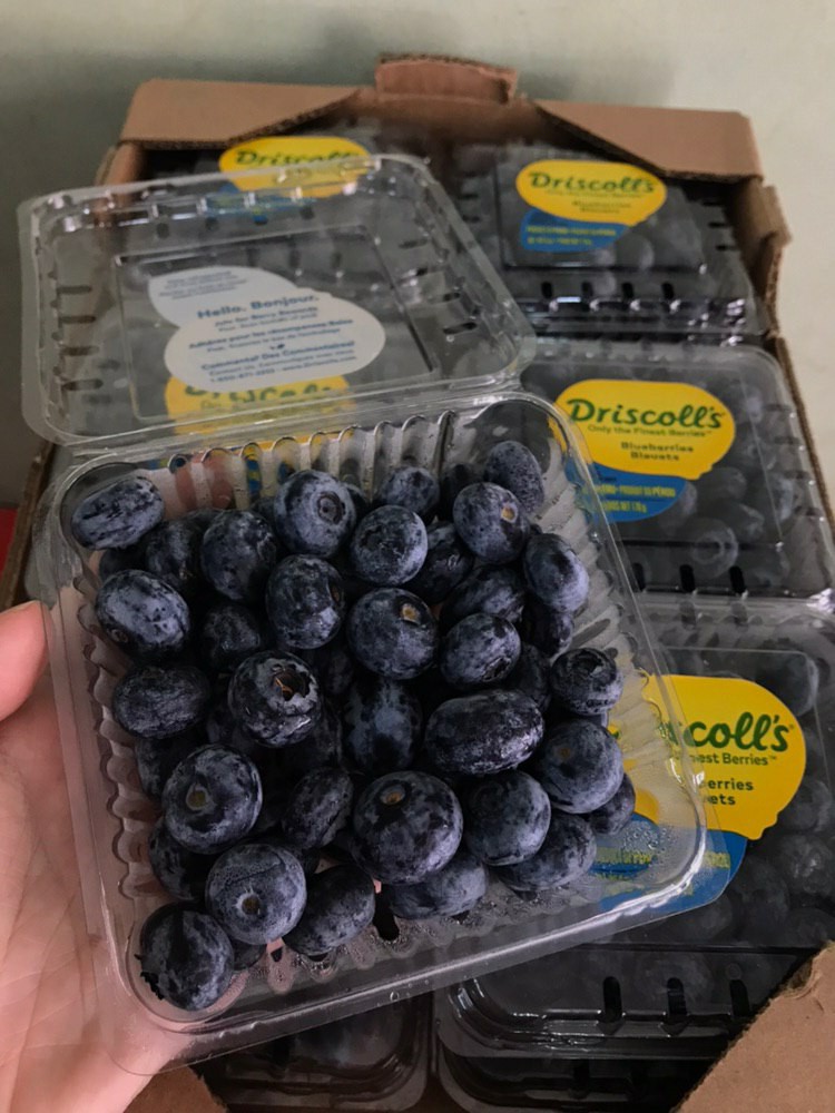 US Driscoll's Blueberries from Always Fresh PH