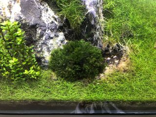 (Category: ) located in . Submitted by scott.gilmour (Listing ID 1004467616, Image 1). Description: .
