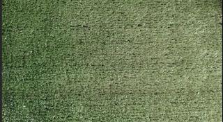 10MM GRASS CARPET MAT