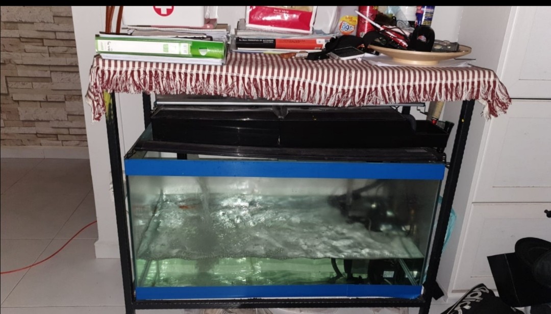 3ft Fish Tank with iron stand., Pet Supplies, Homes & Other Pet