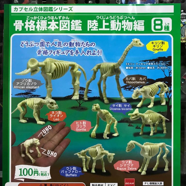 全新正版日版骨格標本圖鑑陸上動物編全8種扭蛋現貨 玩具 遊戲類 其他 Carousell