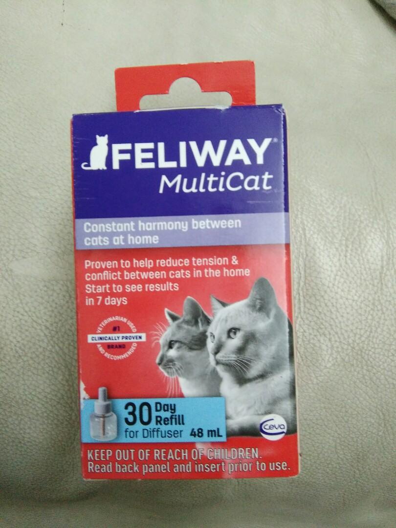 feliway multicat refill for cats