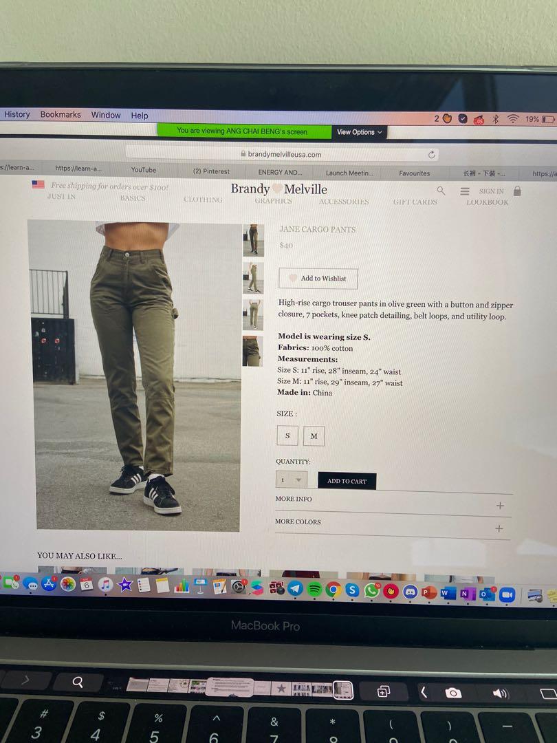 brandy melville jane cargo pants