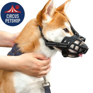 (Category: ) located in . Submitted by circus.petshop (Listing ID 1004676767, Image 1). Description: .