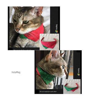 (Category: ) located in . Submitted by zanzash (Listing ID 286735252, Image 1). Description: .