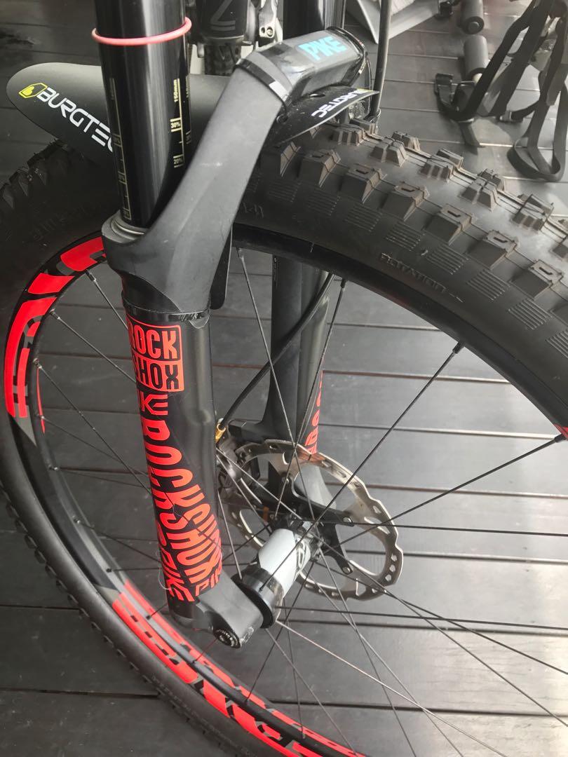 intense recluse for sale