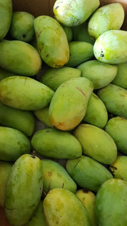 [ FRESH! ] Carabao Mangoes, Food & Drinks, Fresh Produce on Carousell
