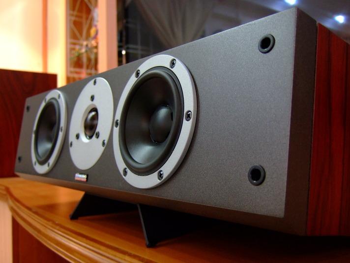 Dynaudio dm center new arrivals