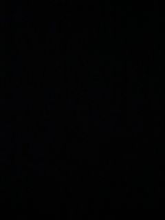 (Category: ) located in . Submitted by tropicalcatt (Listing ID 1004843769, Image 1). Description: .