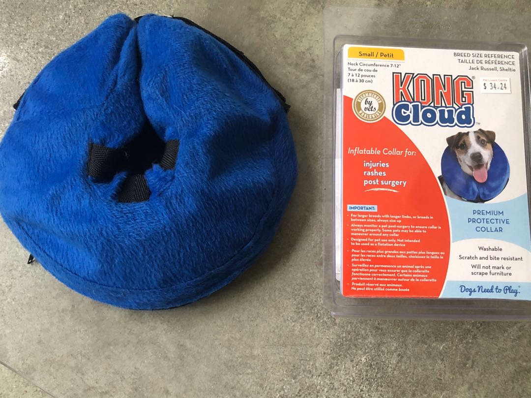 kong cloud collar sizing