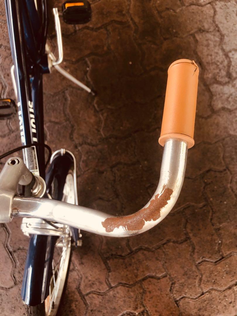 linus lil roadster 20
