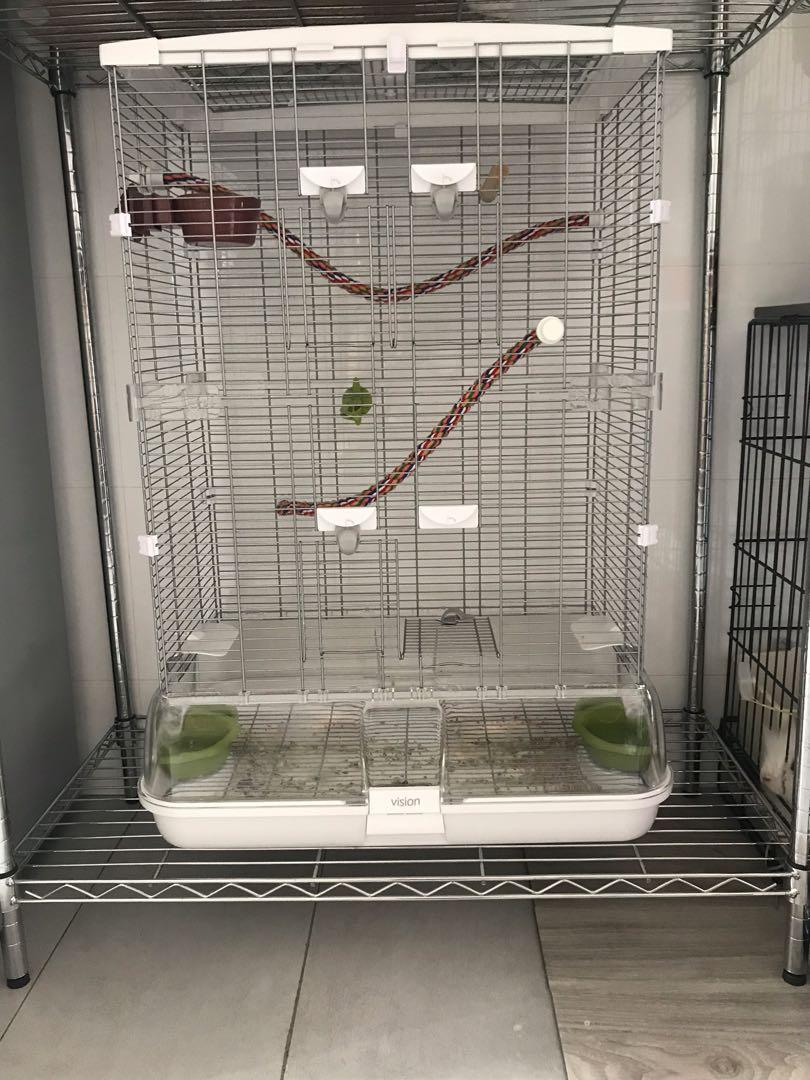 Vision cage M02, Pet Supplies, For Birds, Bird Accessories on Carousell
