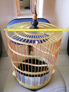 (Category: ) located in . Submitted by chongyi1234 (Listing ID 1005176714, Image 1). Description: .
