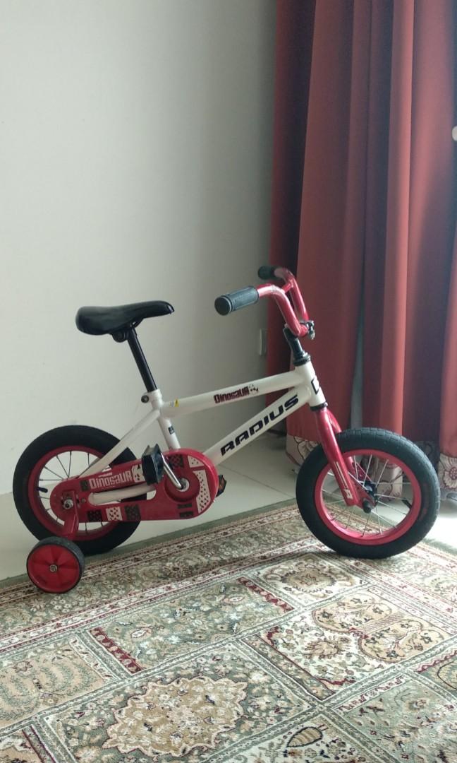 12 dinosaur bike