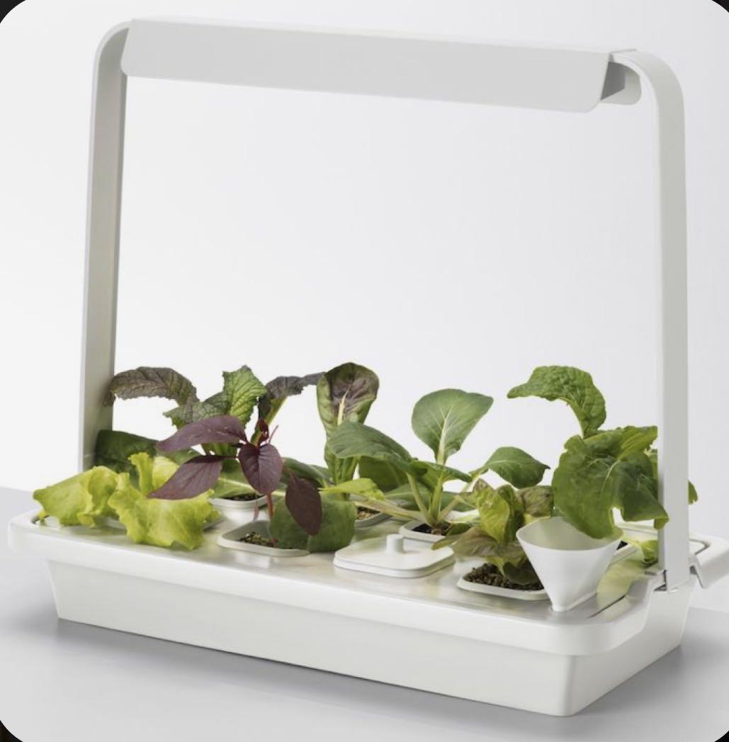 英國宜家家俬ikea 水耕種植種菜不用插電送日本種子 傢俬 家居 園藝 盆栽 Carousell