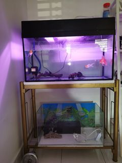 (Category: ) located in . Submitted by winchesWW (Listing ID 1005271166, Image 1). Description: .