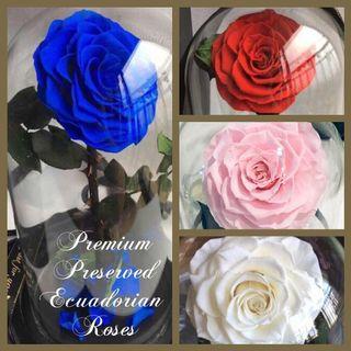 FREE DELIVERY  - Mother’s Day Special for Premium Preserved Roses