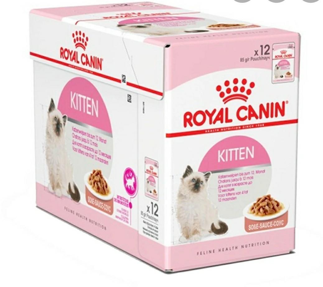 Royal Canin Feline Health Nutrition Kitten Wet Food Gravy 85g Pet Supplies For Cats Cat Food On Carousell