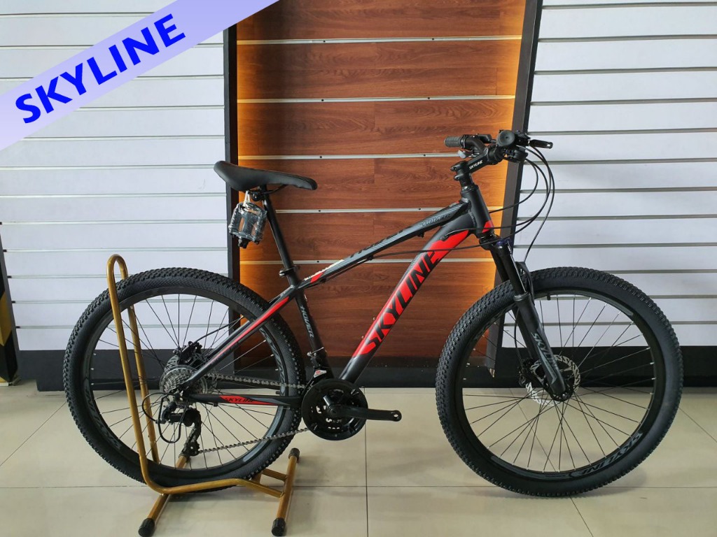 skyline mountain biking