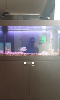(Category: ) located in . Submitted by guccipucci (Listing ID 1010469056, Image 1). Description: .