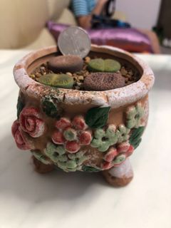（分類：）位於 。 由 please789 提交（商品編號 1008038874，圖片 1）。簡介： 。