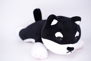 （分類：）位於 。 由 softory.store 提交（商品編號 283773841，圖片 1）。簡介： 。