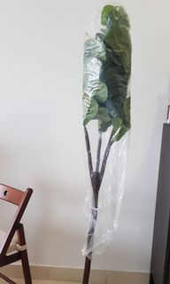 (Category: ) located in . Submitted by pinkpeonies (Listing ID 1010417724, Image 1). Description: .