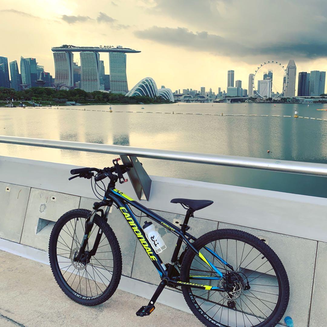 Cannondale catalyst clearance 29